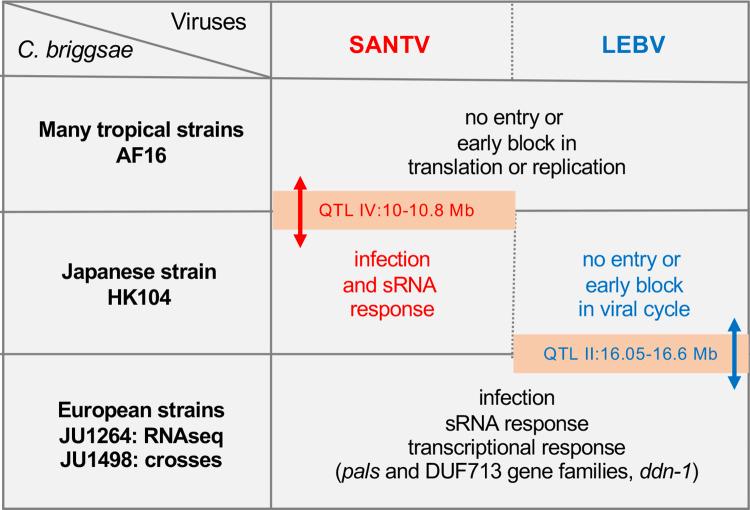 https://cdn.ncbi.nlm.nih.gov/pmc/blobs/2e95/11195985/aa2cdddc0888/ppat.1012259.g009.jpg