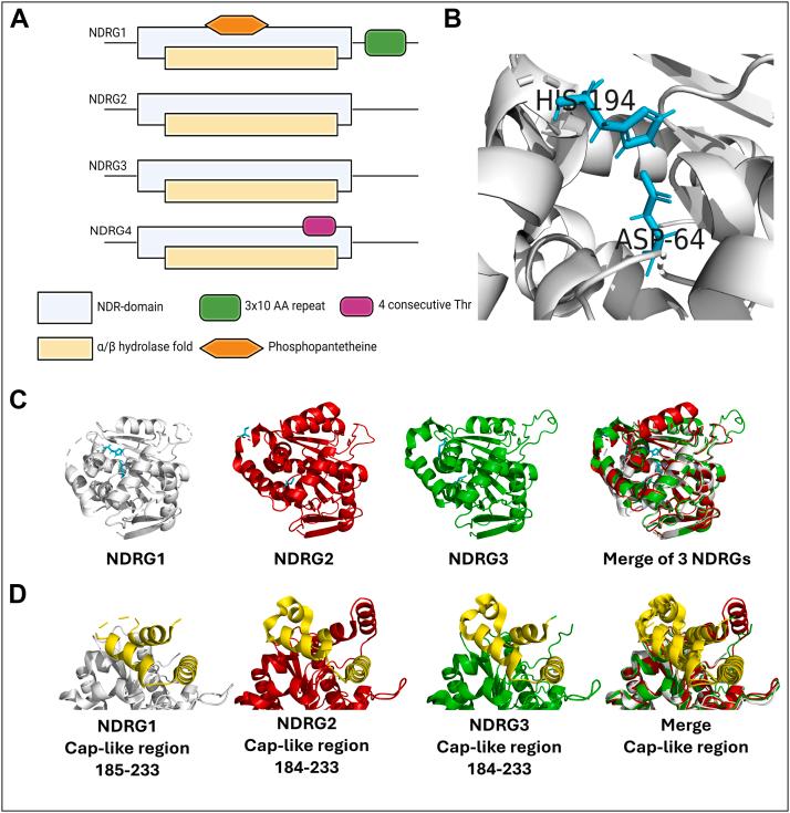 https://cdn.ncbi.nlm.nih.gov/pmc/blobs/2e96/12272907/01acc238140b/gr1.jpg