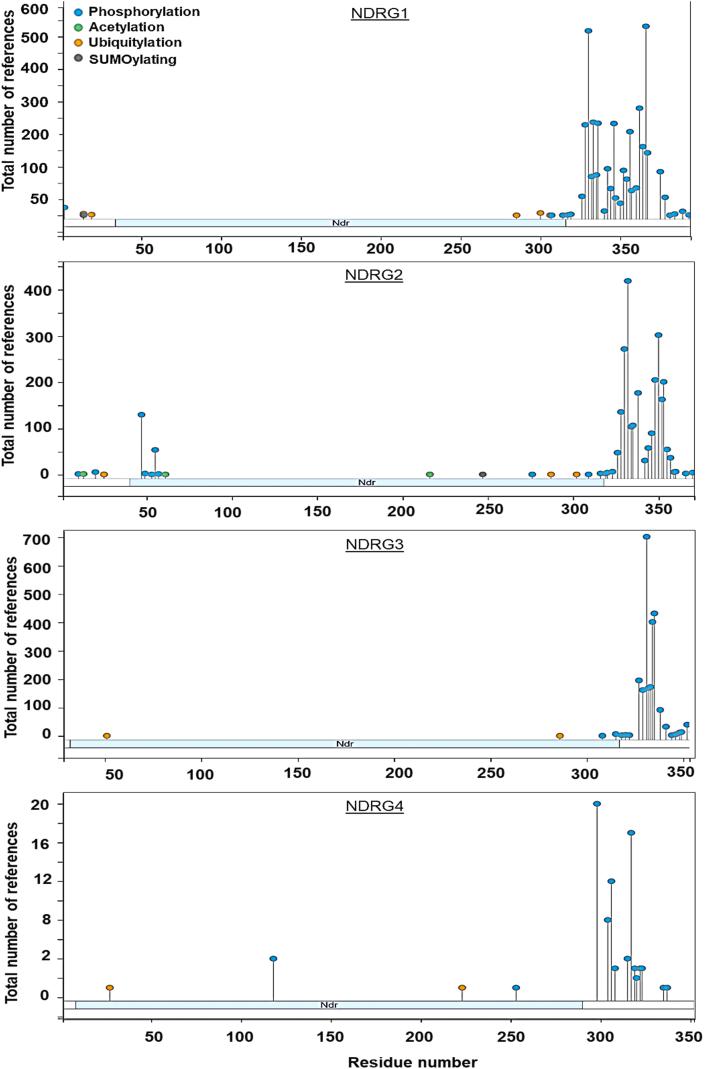 https://cdn.ncbi.nlm.nih.gov/pmc/blobs/2e96/12272907/323958f248d9/gr2.jpg
