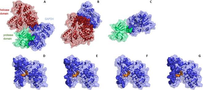 https://cdn.ncbi.nlm.nih.gov/pmc/blobs/2e96/6389977/ae4c6b61049d/41598_2019_39157_Fig5_HTML.jpg