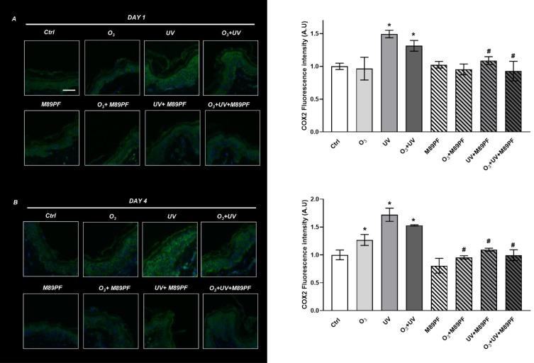 https://cdn.ncbi.nlm.nih.gov/pmc/blobs/2e97/10337690/4c4fa84bf53a/CCID-16-1769-g0003.jpg