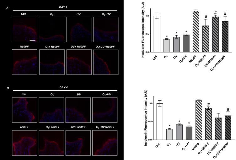 https://cdn.ncbi.nlm.nih.gov/pmc/blobs/2e97/10337690/a78aeb954792/CCID-16-1769-g0001.jpg