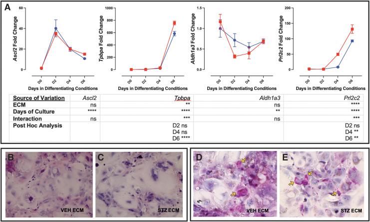 https://cdn.ncbi.nlm.nih.gov/pmc/blobs/2e97/10561768/802e3b7d6934/scd.2022.0290_figure8.jpg