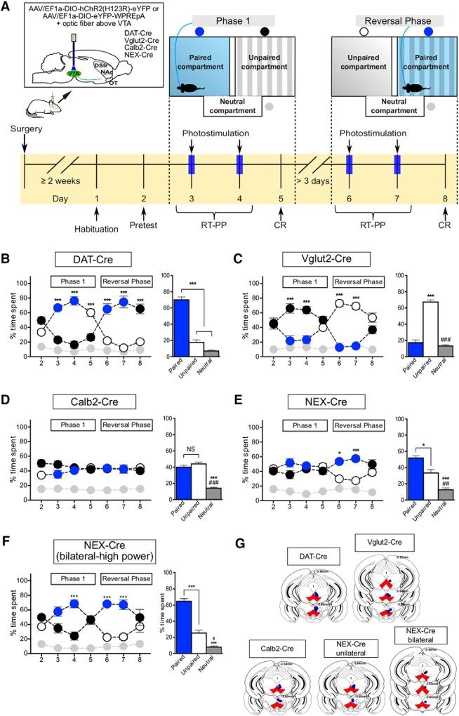 https://cdn.ncbi.nlm.nih.gov/pmc/blobs/2e97/6565376/124caf05c375/enu0031929410008.jpg
