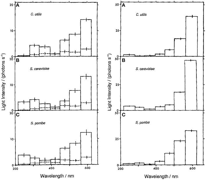 https://cdn.ncbi.nlm.nih.gov/pmc/blobs/2e9b/4561347/4bd8f84b901e/fphys-06-00241-g0003.jpg