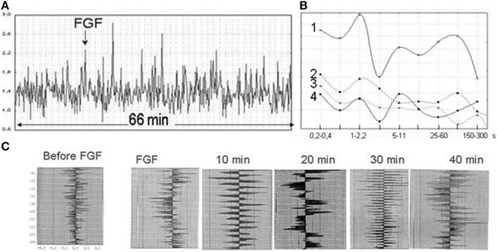 https://cdn.ncbi.nlm.nih.gov/pmc/blobs/2e9b/4561347/5d6da301b1c2/fphys-06-00241-g0006.jpg