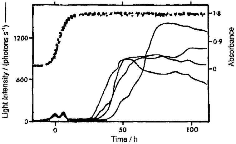 https://cdn.ncbi.nlm.nih.gov/pmc/blobs/2e9b/4561347/72f07ca32898/fphys-06-00241-g0002.jpg