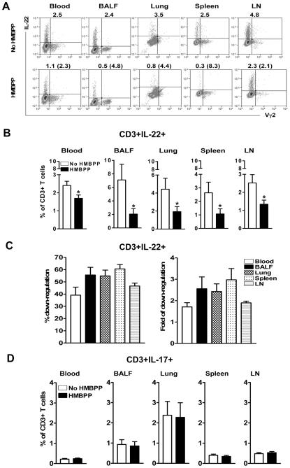 https://cdn.ncbi.nlm.nih.gov/pmc/blobs/2e9d/2829073/66f2845fa8cc/ppat.1000789.g003.jpg