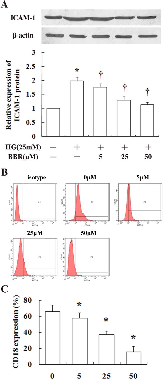 https://cdn.ncbi.nlm.nih.gov/pmc/blobs/2e9f/3800284/aa5b2d5766aa/mv-v19-2092-f3.jpg