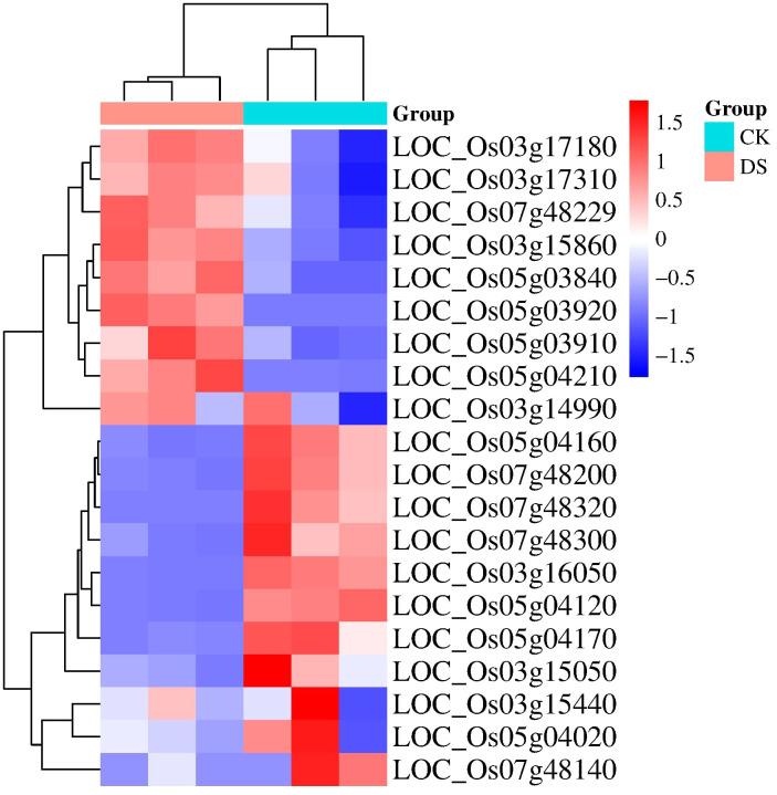 https://cdn.ncbi.nlm.nih.gov/pmc/blobs/2ea0/11325455/ff88fe1f5bd6/fpls-15-1421267-g005.jpg