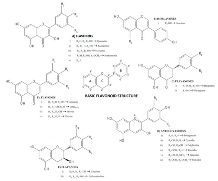 https://cdn.ncbi.nlm.nih.gov/pmc/blobs/2ea1/7146370/db0e525bad53/nutrients-12-00625-g002.jpg