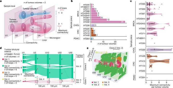 https://cdn.ncbi.nlm.nih.gov/pmc/blobs/2ea2/11525187/fea58467bbbf/41586_2024_8087_Fig4_HTML.jpg