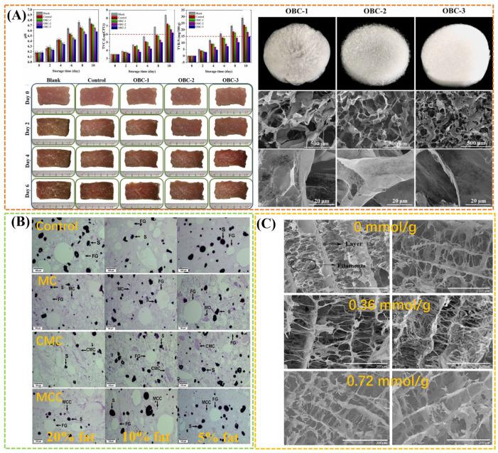 https://cdn.ncbi.nlm.nih.gov/pmc/blobs/2ea2/11764839/354cfd3878f5/gels-11-00055-g002.jpg