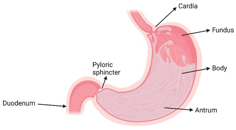 https://cdn.ncbi.nlm.nih.gov/pmc/blobs/2ea3/8539558/1278cac69fca/pharmaceutics-13-01591-g001.jpg