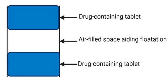 https://cdn.ncbi.nlm.nih.gov/pmc/blobs/2ea3/8539558/7ae21a4ba416/pharmaceutics-13-01591-g003.jpg