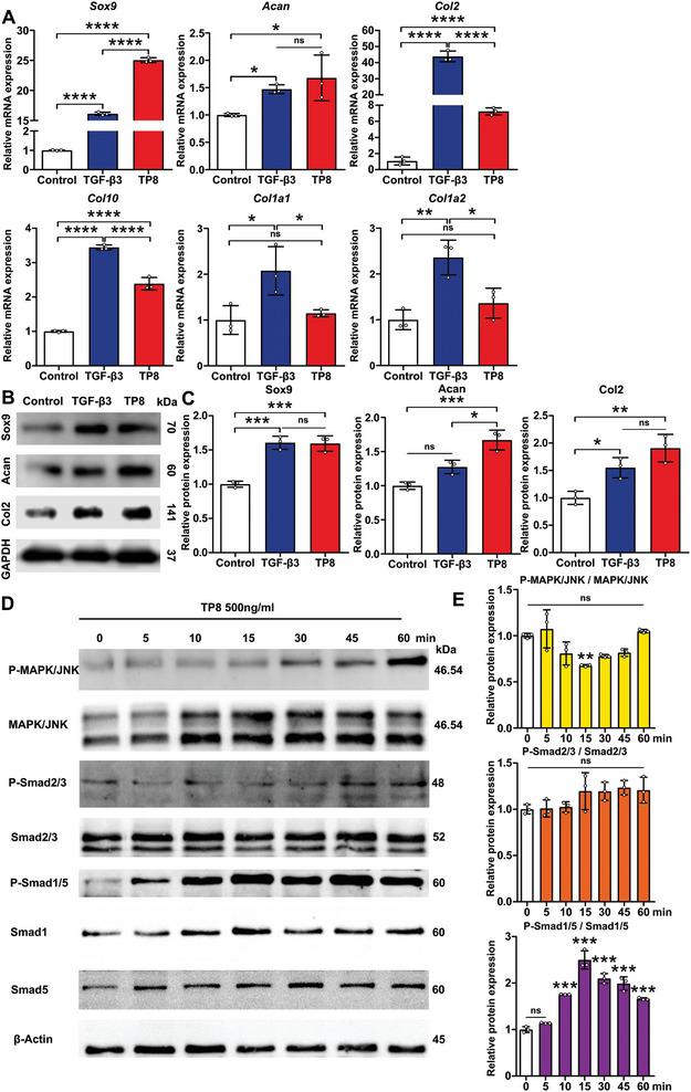 https://cdn.ncbi.nlm.nih.gov/pmc/blobs/2ea4/11874676/d92c9a7a9285/ADHM-14-0-g002.jpg