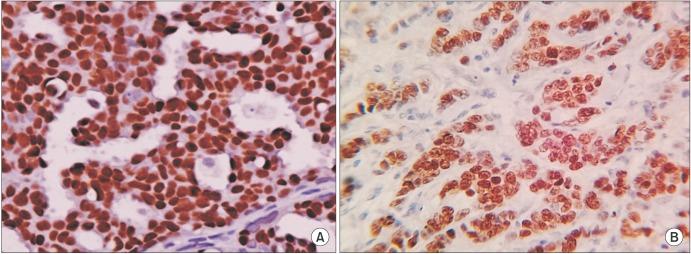 https://cdn.ncbi.nlm.nih.gov/pmc/blobs/2ea4/5330371/2be3a76e716d/icu-58-117-g001.jpg