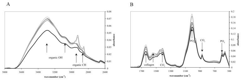 https://cdn.ncbi.nlm.nih.gov/pmc/blobs/2ea7/11477212/12f91e15684e/ijms-25-10733-g002.jpg
