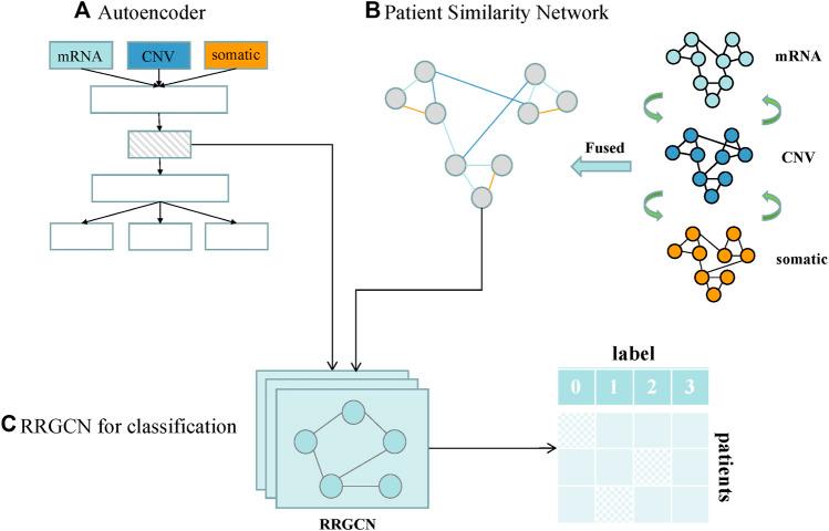 https://cdn.ncbi.nlm.nih.gov/pmc/blobs/2ea7/9845413/feb8f9bc88ea/fgene-13-1090394-g001.jpg