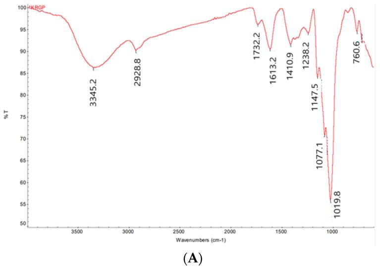 https://cdn.ncbi.nlm.nih.gov/pmc/blobs/2ea8/10820478/ff373625785f/polymers-16-00231-g002a.jpg