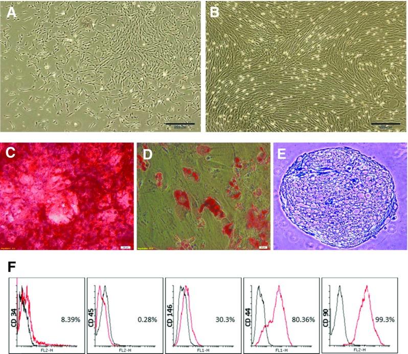 https://cdn.ncbi.nlm.nih.gov/pmc/blobs/2ea9/5442265/fc7635cafd12/784_2016_1967_Fig1_HTML.jpg