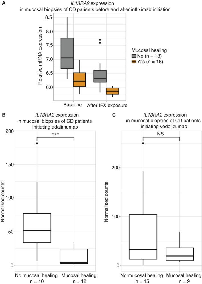 https://cdn.ncbi.nlm.nih.gov/pmc/blobs/2ea9/6849553/c01db548bd6b/APT-49-572-g001.jpg