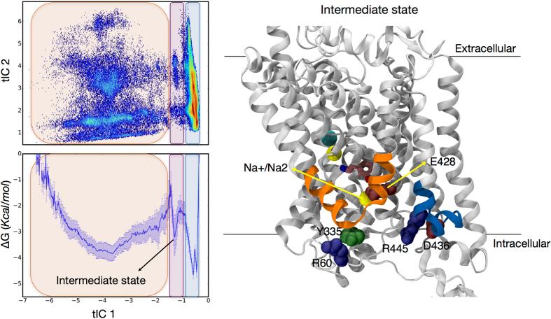 https://cdn.ncbi.nlm.nih.gov/pmc/blobs/2eab/5216462/571ad4ebb1d2/srep40076-f7.jpg
