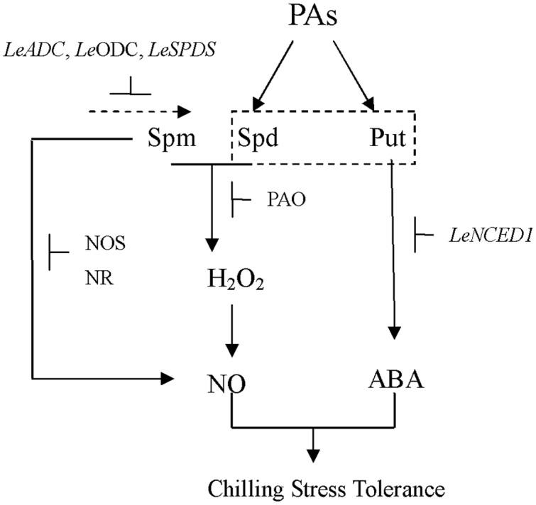 https://cdn.ncbi.nlm.nih.gov/pmc/blobs/2eac/5306283/70df4196834b/fpls-08-00203-g009.jpg
