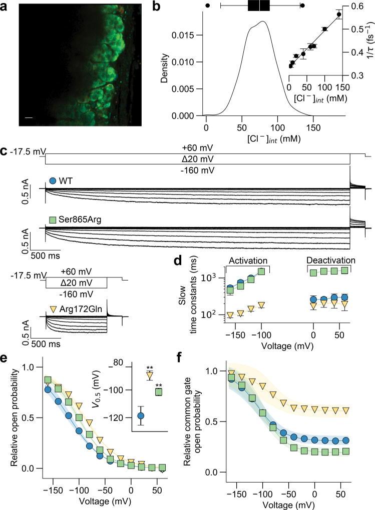 https://cdn.ncbi.nlm.nih.gov/pmc/blobs/2eac/5862758/adad77ea12c6/nihms929906f3.jpg