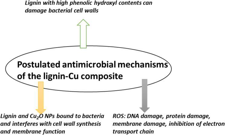 https://cdn.ncbi.nlm.nih.gov/pmc/blobs/2ead/9722477/3cad4e07fa32/gr5.jpg