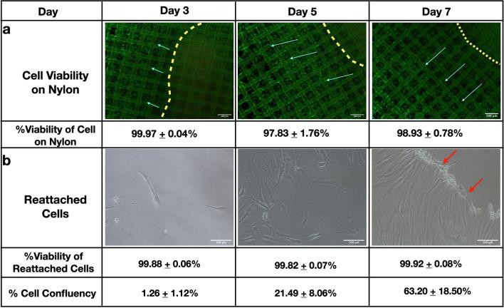 https://cdn.ncbi.nlm.nih.gov/pmc/blobs/2eae/9633782/3ddf3a2bec7c/41598_2022_21913_Fig2_HTML.jpg