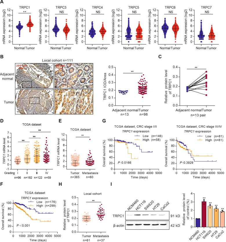 https://cdn.ncbi.nlm.nih.gov/pmc/blobs/2eb1/8511127/83c7c3fb801b/41389_2021_356_Fig1_HTML.jpg