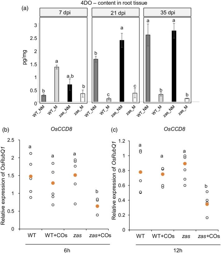 https://cdn.ncbi.nlm.nih.gov/pmc/blobs/2eb1/9543690/2a2caed16ab4/TPJ-111-1688-g001.jpg