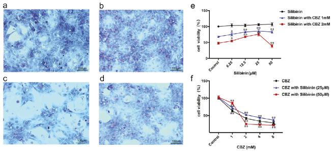 https://cdn.ncbi.nlm.nih.gov/pmc/blobs/2eb2/12203441/08612bb75dbf/MedeniMedJ-40-2-37-figure-1.jpg