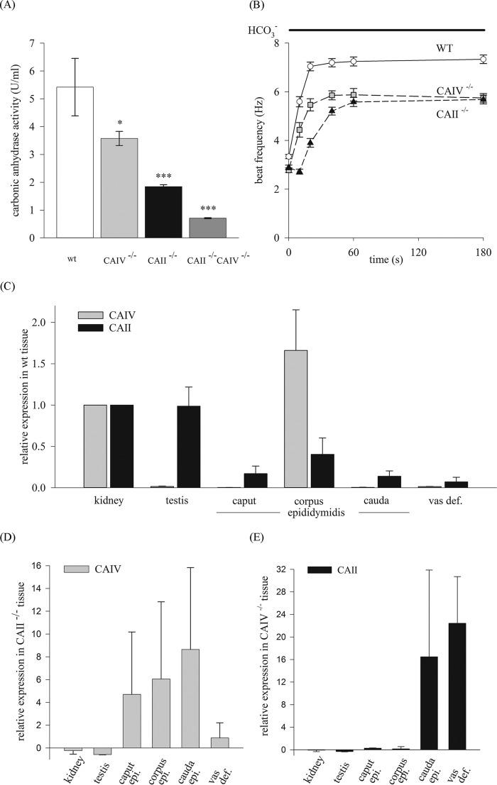 https://cdn.ncbi.nlm.nih.gov/pmc/blobs/2eb2/4705926/efd261b1edc9/zbc0521532630004.jpg