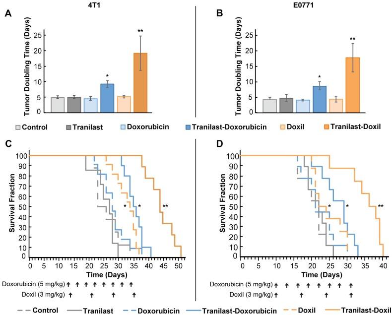 https://cdn.ncbi.nlm.nih.gov/pmc/blobs/2eb3/6993226/00c83a120909/thnov10p1910g001.jpg