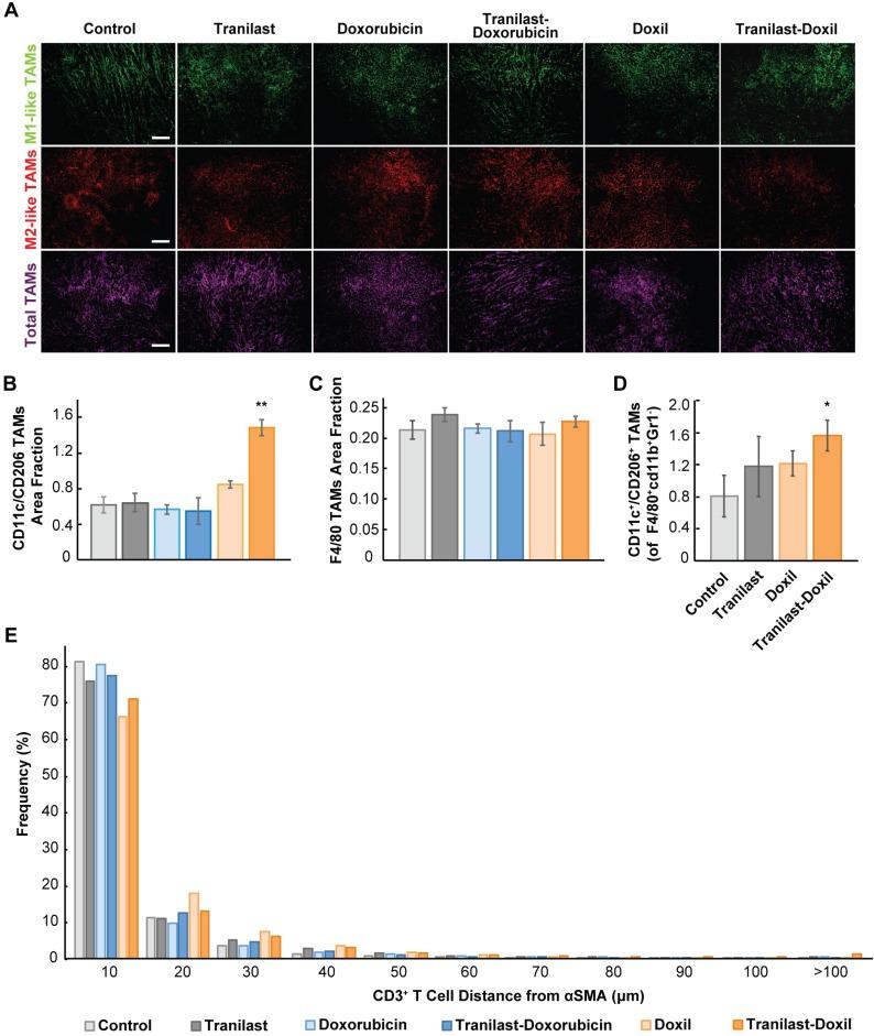 https://cdn.ncbi.nlm.nih.gov/pmc/blobs/2eb3/6993226/98f1be3e2d0f/thnov10p1910g004.jpg