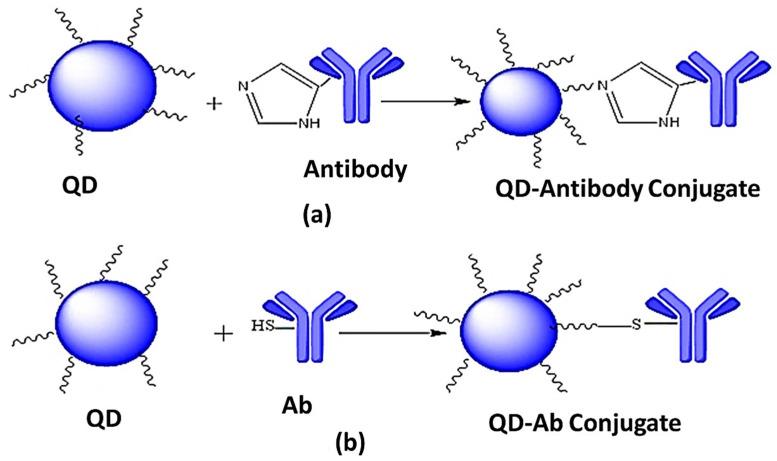 https://cdn.ncbi.nlm.nih.gov/pmc/blobs/2eb4/8708439/1889cdd5b991/jfb-12-00075-g006.jpg