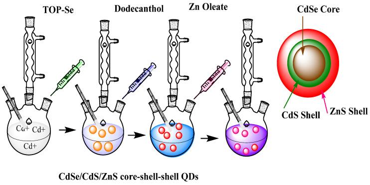 https://cdn.ncbi.nlm.nih.gov/pmc/blobs/2eb4/8708439/b519fef758b7/jfb-12-00075-g002.jpg