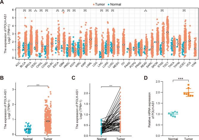 https://cdn.ncbi.nlm.nih.gov/pmc/blobs/2eb5/11378586/193f39bdab5c/12885_2024_12857_Fig1_HTML.jpg