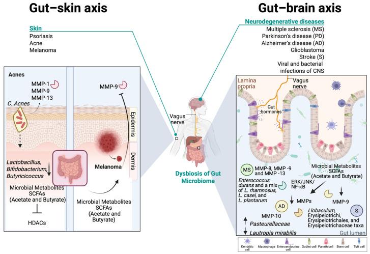 https://cdn.ncbi.nlm.nih.gov/pmc/blobs/2eb5/12027064/a0903a0a3e7f/ijms-26-03621-g004.jpg