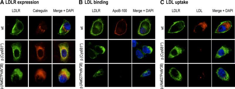 https://cdn.ncbi.nlm.nih.gov/pmc/blobs/2eb6/6818983/85cf745c3f41/atv-39-2248-g005.jpg