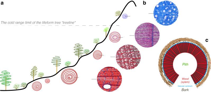 https://cdn.ncbi.nlm.nih.gov/pmc/blobs/2eb9/9338036/8de2bf76960c/42003_2022_3732_Fig1_HTML.jpg
