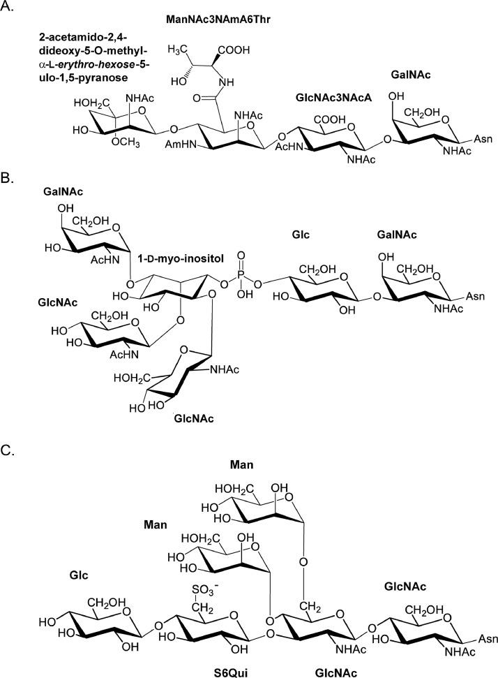 https://cdn.ncbi.nlm.nih.gov/pmc/blobs/2eba/11407970/f8c80e72dc53/gr2.jpg