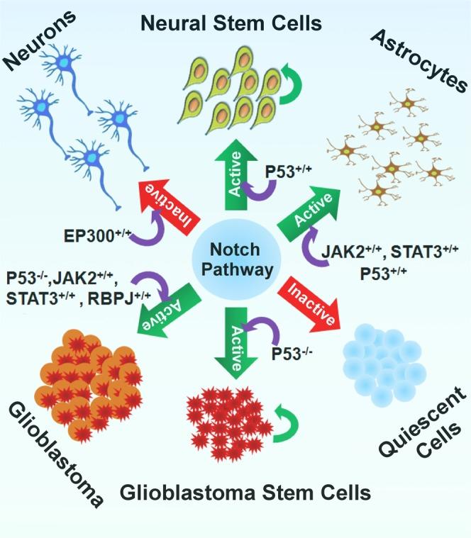 https://cdn.ncbi.nlm.nih.gov/pmc/blobs/2eba/6602950/831a9df7acfe/41598_2019_45892_Fig6_HTML.jpg