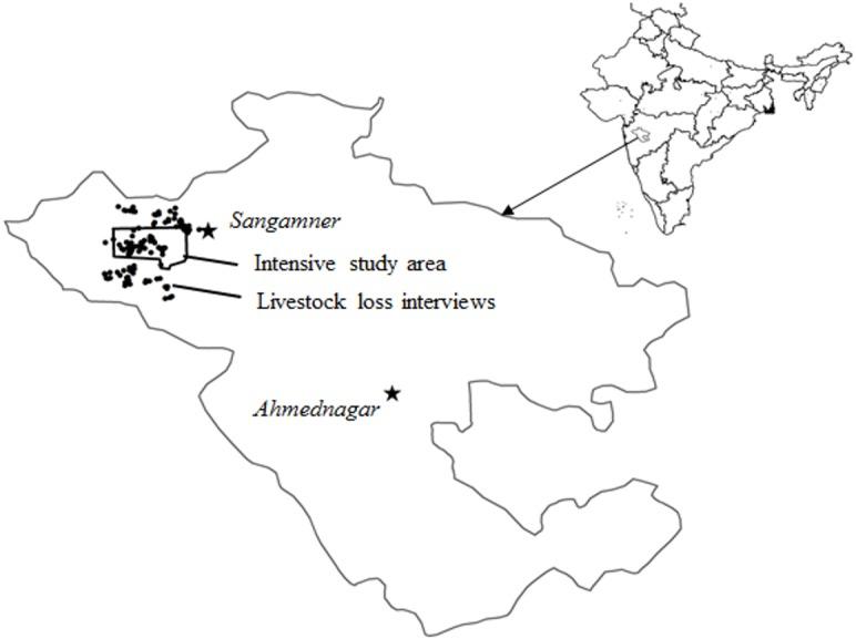 https://cdn.ncbi.nlm.nih.gov/pmc/blobs/2eba/7103201/a2ba788e6546/peerj-08-8405-g001.jpg