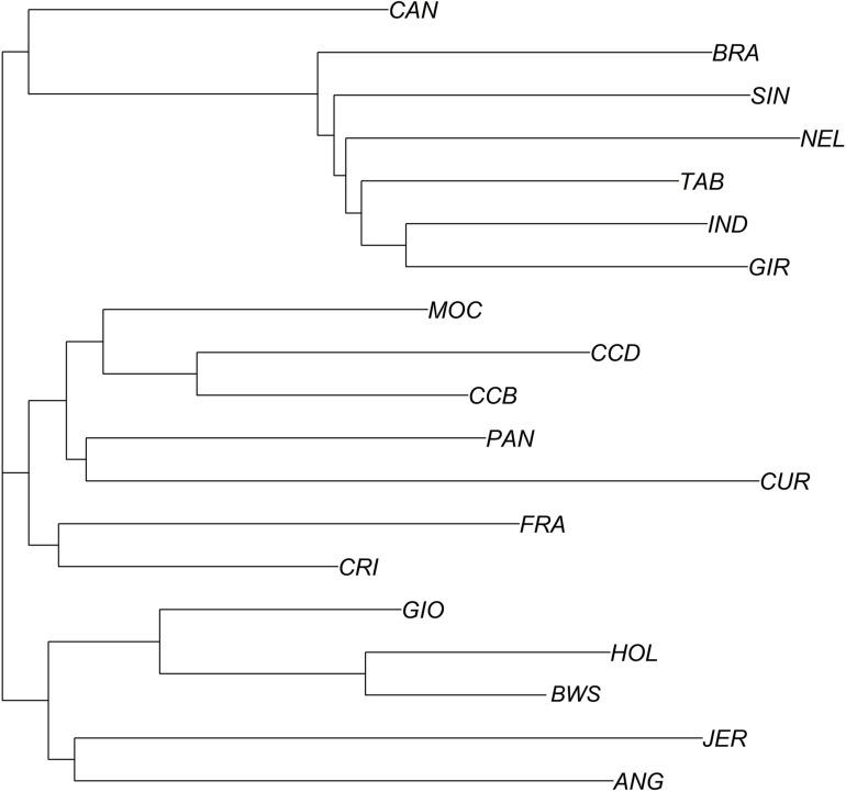https://cdn.ncbi.nlm.nih.gov/pmc/blobs/2ebb/8353373/189eba1f7a75/fgene-12-702822-g006.jpg