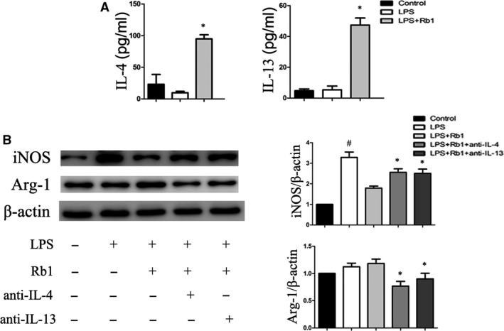 https://cdn.ncbi.nlm.nih.gov/pmc/blobs/2ebc/5742675/3df92623947f/JCMM-22-409-g002.jpg