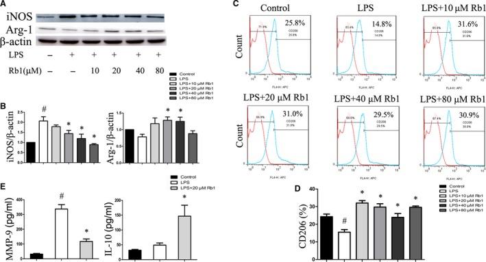 https://cdn.ncbi.nlm.nih.gov/pmc/blobs/2ebc/5742675/8fb95c06db79/JCMM-22-409-g001.jpg