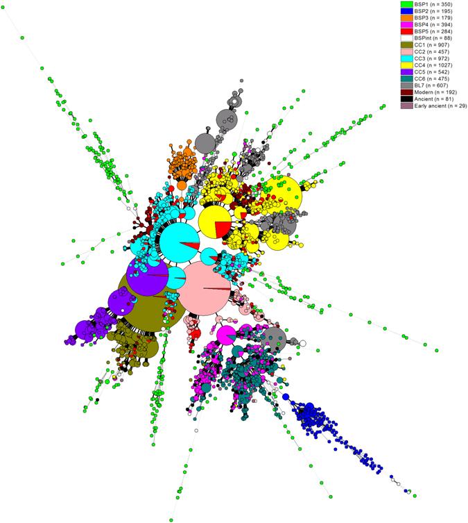 https://cdn.ncbi.nlm.nih.gov/pmc/blobs/2ebd/5519585/3c6f52015442/41598_2017_6346_Fig3_HTML.jpg